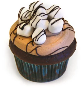specials-com-cocoa